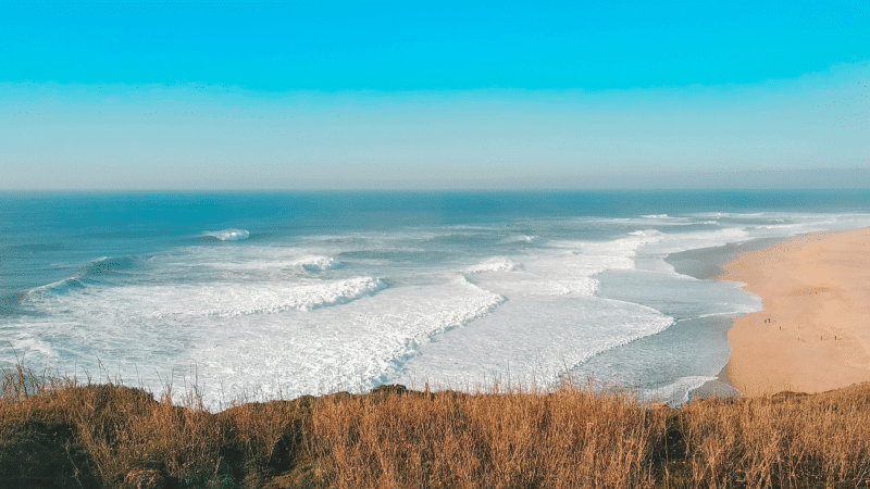 Nazaré Apartments for Rent